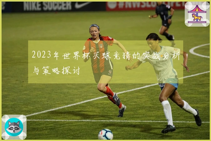 2023年世界杯买球竞猜的实战分析与策略探讨