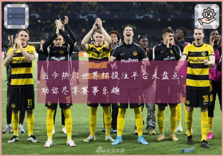 当今热门世界杯投注平台大盘点，助你尽享赛事乐趣