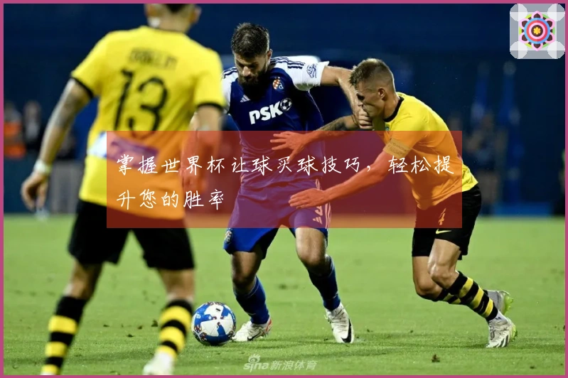 掌握世界杯让球买球技巧，轻松提升您的胜率