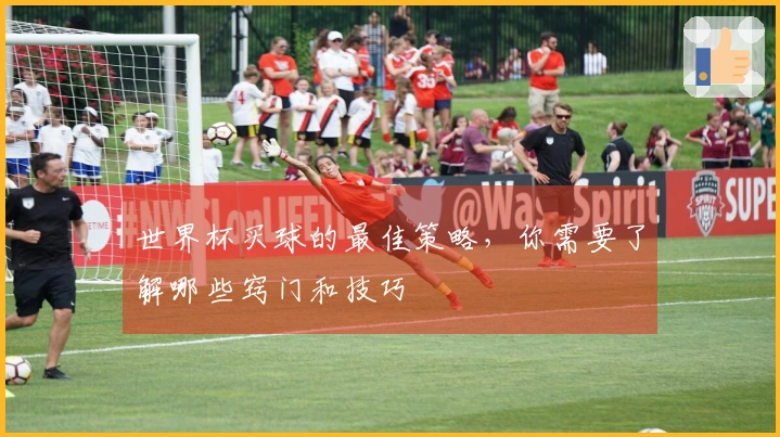 世界杯买球的最佳策略，你需要了解哪些窍门和技巧