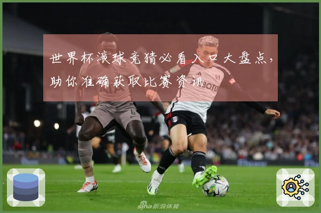 世界杯滚球竞猜必看入口大盘点，助你准确获取比赛资讯