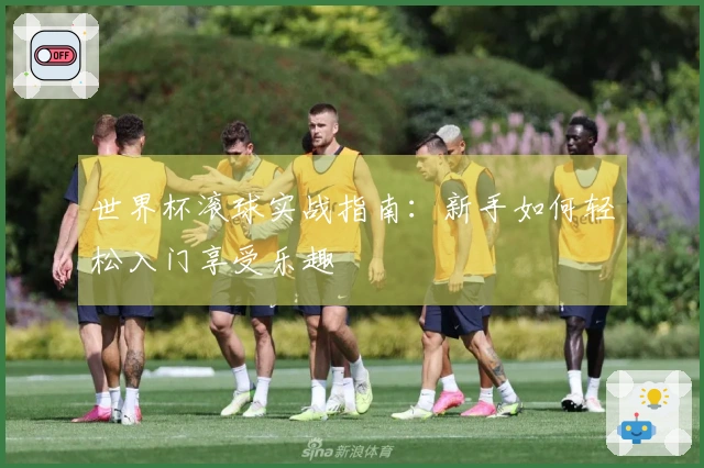 世界杯滚球实战指南：新手如何轻松入门享受乐趣