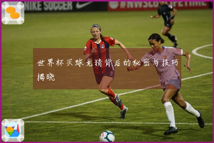 世界杯买球竞猜背后的秘密与技巧揭晓