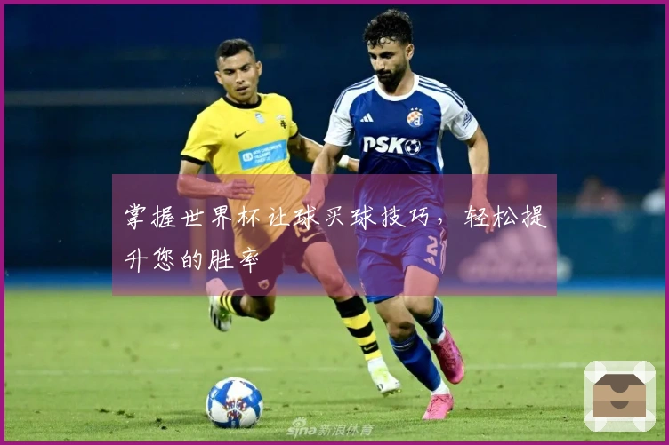 掌握世界杯让球买球技巧，轻松提升您的胜率