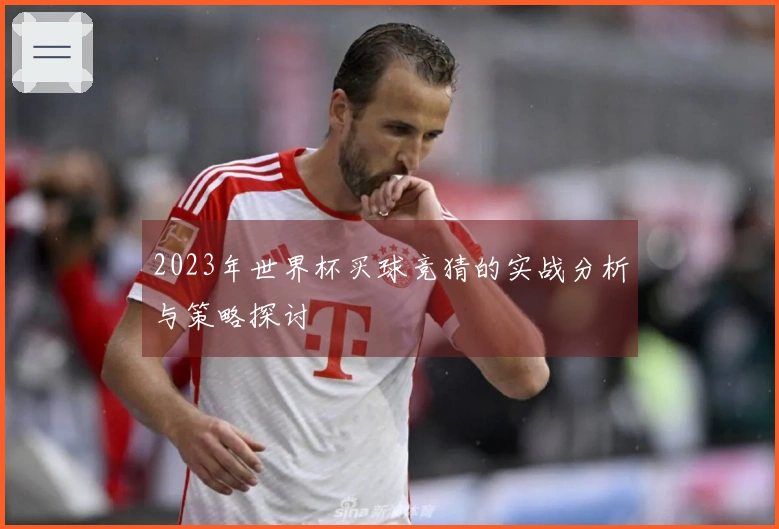 2023年世界杯买球竞猜的实战分析与策略探讨