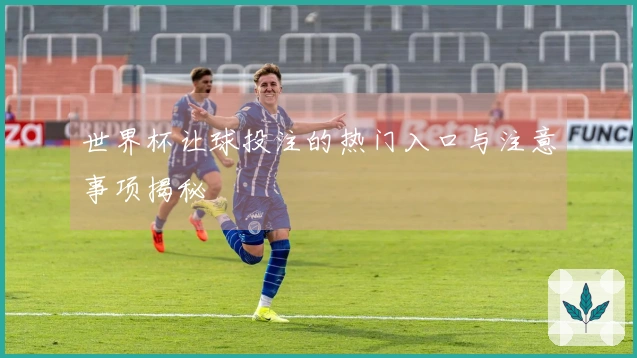 世界杯让球投注的热门入口与注意事项揭秘