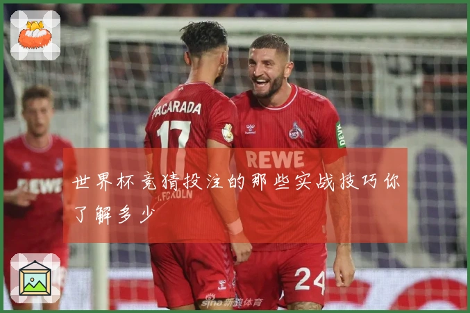 世界杯竞猜投注的那些实战技巧你了解多少