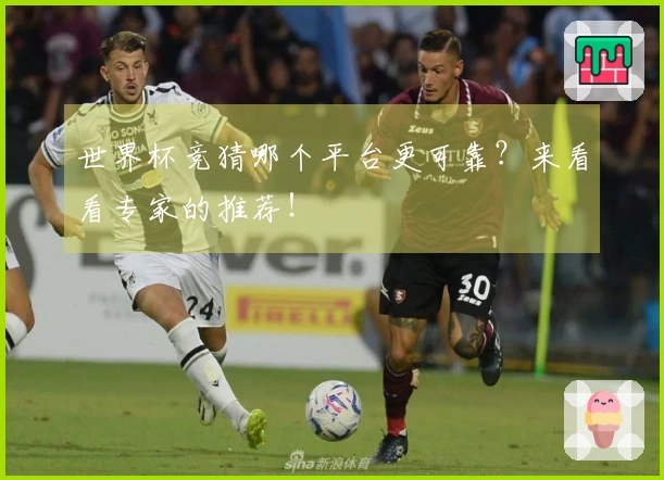 世界杯竞猜哪个平台更可靠？来看看专家的推荐！
